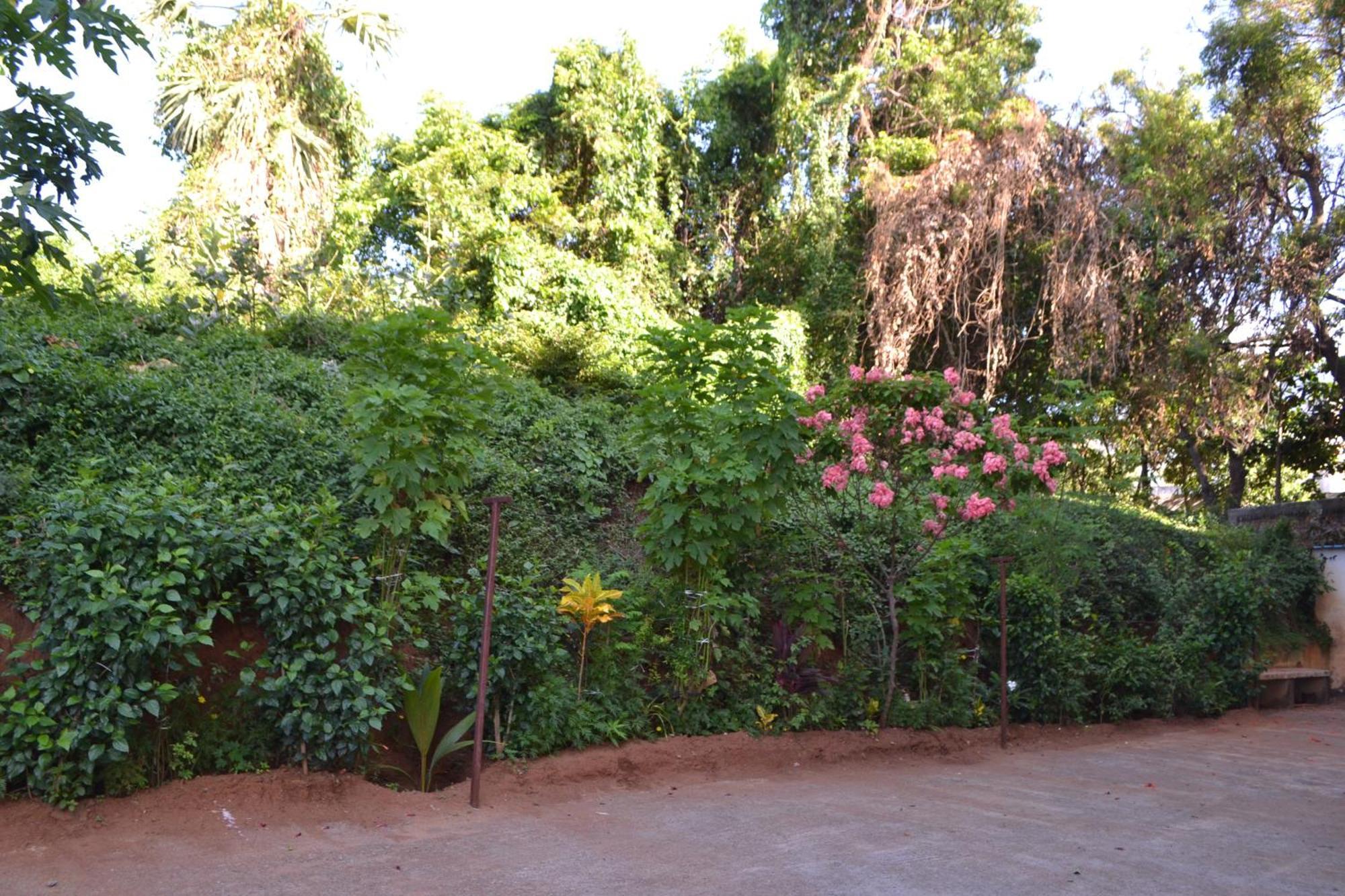 Yuga Guest House Kuttālam Exterior photo